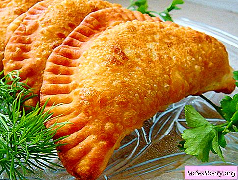 Chebureks - the best recipes. How to cook chebureks correctly and tasty.