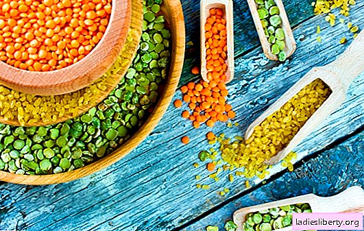 Lentils: benefits and harms for women. Will lentils benefit pregnant and lactating women, how to cook and eat them properly