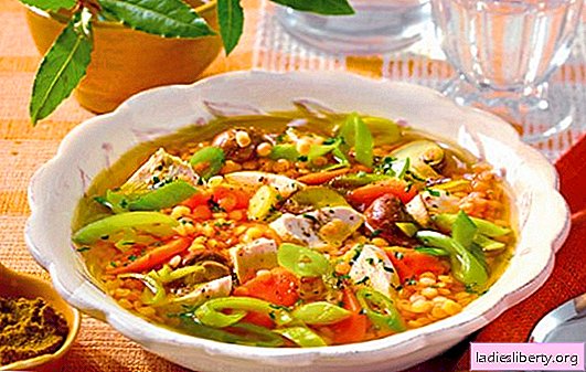 Lentil dengan ayam: sup, panggang, rebus, casserole. Resep sederhana dan kompleks untuk memasak lentil dengan ayam setiap hari