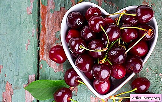 Cereza dulce: beneficios y daños para el cuerpo, dosis seguras de bayas dulces. ¿Cuántas calorías hay en las cerezas y qué vitaminas contiene?