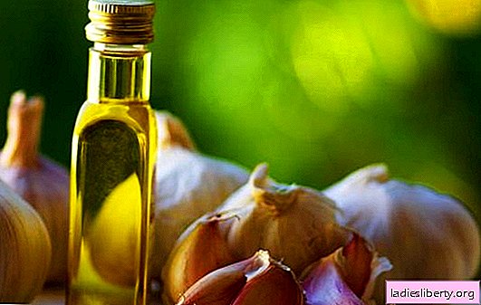 Garlic oil: benefits and harms. The use of garlic oil in medicine, cosmetology and cooking: the benefits and harms