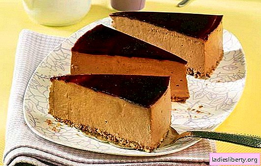 El pastel de queso sin hornear es un manjar tentador. Las mejores recetas para tarta de queso sin hornear con mascarpone, queso, chocolate, "Nutella"