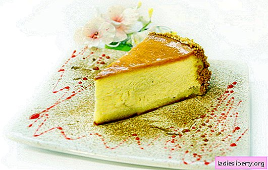 Cheesecake classique - dessert pour tous les desserts! Les meilleures recettes pour un gâteau au fromage classique pour une vie douce: simple et complexe