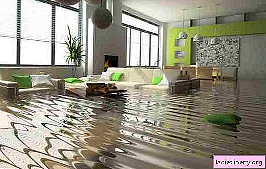 Que faire si vous avez inondé l’appartement d’un voisin? Dans quels cas le dommage est payé par la société de gestion