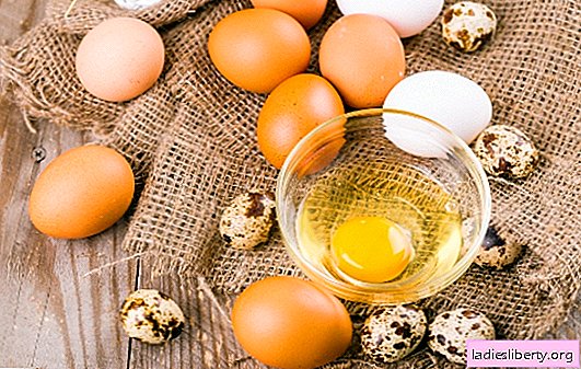 Welche der Informationen über die Vorteile von rohen Eiern auf nüchternen Magen ist ein Mythos und wer braucht sie wirklich? Was ist das Besondere an ihrer Zusammensetzung und ob rohe Eier auf nüchternen Magen Schaden anrichten können?