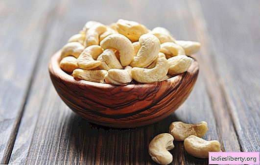 Wat is bekend over de voordelen van cashewnoten en de kenmerken van hun biologie. Hoe zijn ze nuttig voor het verliezen van gewicht en kan er schade door cashewnoten zijn