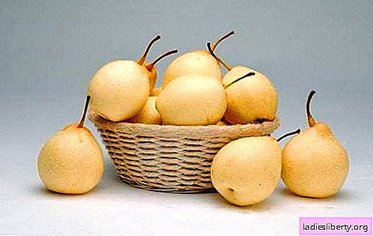 What can you say about the benefits of the Chinese pear. How it helps to lose weight and whether the Chinese pear can be harmful