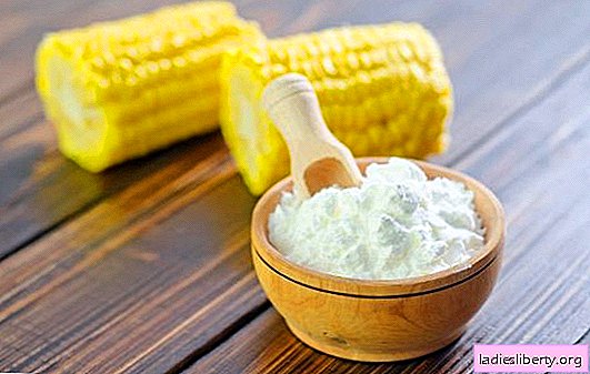What can be said about the benefits of corn starch in everyday and diet. What are the features of its use and whether there can be harm from corn starch