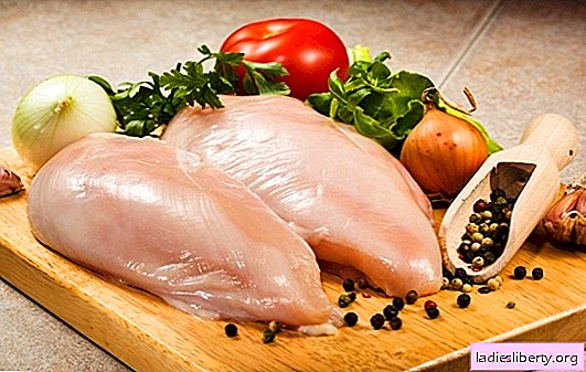 Que faire cuire du poulet rapidement et savoureux? Cuisine de délicieux rouleaux de poulet, brochettes au four, salades faciles et rapides