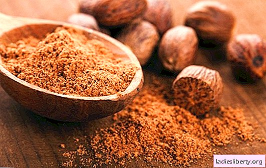 What is nutmeg: useful properties and contraindications. Scope of nutmeg, possible contraindications