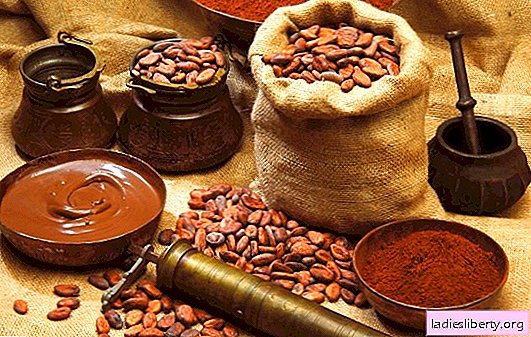 Kacang ajaib: manfaat luar biasa dan kemungkinan bahaya bagi tubuh. Resep lezat untuk kecantikan berdasarkan kakao sehat