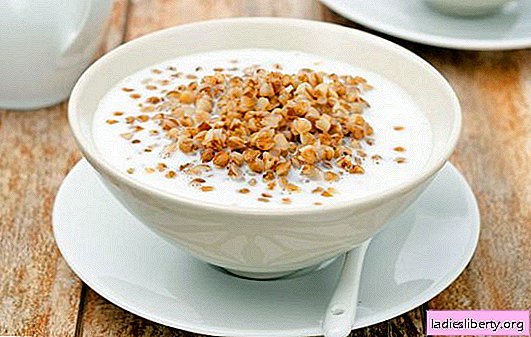 Miracle recipe: buckwheat with kefir in the mornings on an empty stomach - what's the use? All about buckwheat with kefir in the morning on an empty stomach - about the benefits, harms, recipes
