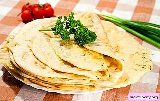 Miracle with meat - fry without oil! A selection of miracle recipes with meat from different types of dough in a pan and in the oven: the flavor of the Caucasus