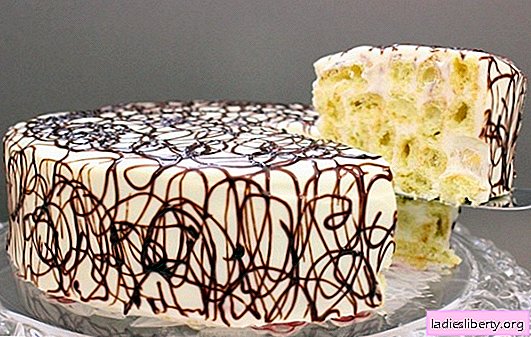 Ladies' Fingers - a cake that will not leave anyone indifferent. Tasty and simple recipes for Lady's fingers cake