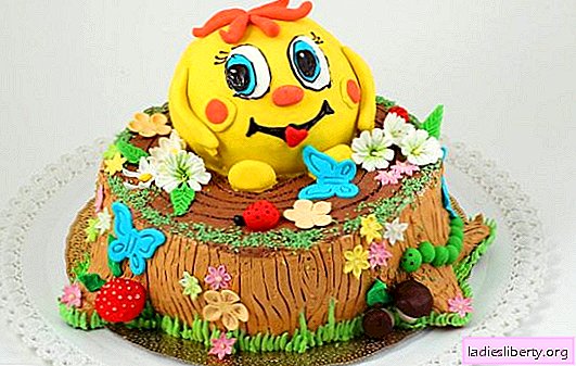 Do-it-yourself kids cake - untuk yang paling dicintai manis! Resipi DIY untuk kek kanak-kanak yang ringkas dan cantik