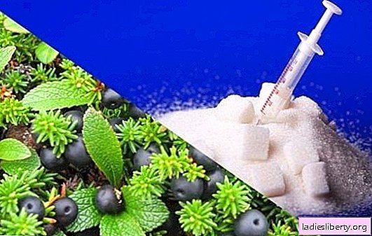 Diabetes is a special way of life. How to reduce sugar folk remedies: safe and proven recipes