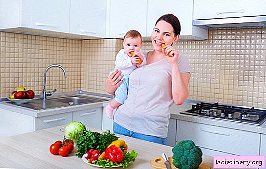 Diet for nursing - the rules, healthy and forbidden foods, daily diet. How to choose a diet taking into account the needs of a nursing mother and baby
