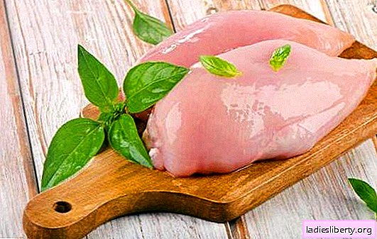 Pechuga de pollo dietética: no solo saludable, sino también deliciosa. Recetas de pechuga de pollo dietéticas originales y tradicionales