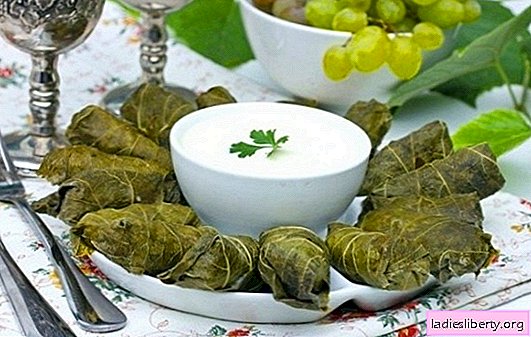 دولما بأوراق العنب هي تاج فن الطهي القوقازي. وصفات دولما الكلاسيكية والأصلية في أوراق العنب