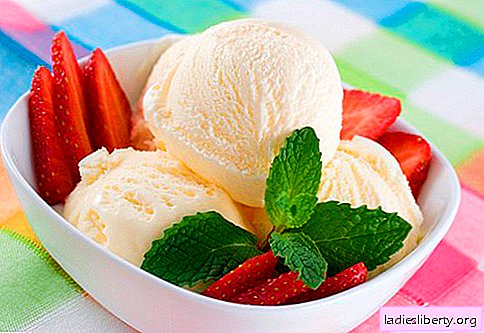 Domaći sladoled - najbolji recepti. Kako brzo i ukusno skuhati domaći sladoled.