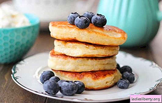 Homemade pancakes: quick breakfast recipes. Tasty pancakes according to quick recipes on kefir, milk, zucchini, liver