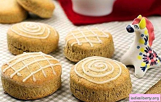 Pan de jengibre casero: pasteles sencillos con un sabor increíble. Recetas de pan de jengibre casero: vainilla, chocolate, jengibre, miel, amapola.
