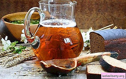 Homemade kvass (step by step recipe) - a natural refreshing drink. Step-by-step recipe for homemade kvass with yeast and yeast-free