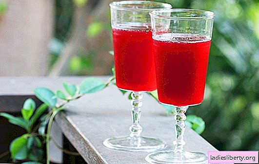 Homemade currant liquor: the main methods of preparation. Varietal features of raw materials for the preparation of currant liqueurs