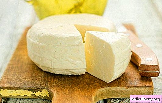 El queso casero hecho de leche y kéfir es un producto delicioso, delicado y, lo más importante, natural. Recetas probadas y originales para queso casero hecho de leche y kéfir