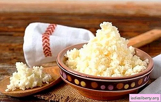 Homemade cottage cheese from milk: step by step recipes. Technology for producing cheese grains and step-by-step recipes for cottage cheese