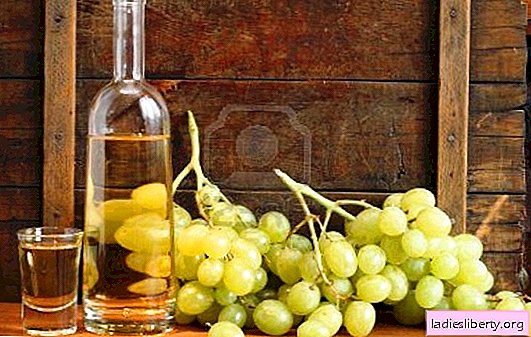 Homemade grape chacha - simple recipes. Cooking crystal clear grape chacha at home