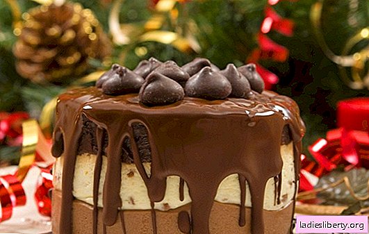 El glaseado de chocolate casero para pastel de chocolate y cacao es la mejor receta. Secretos de la correcta cobertura de chocolate casera