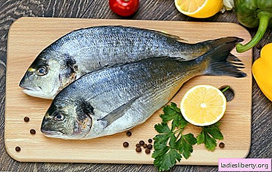 دورادو هو أحد معارفه الشهية القديمة. دورادو السمك: فوائد ومضار الأكل ، طرق الطهي