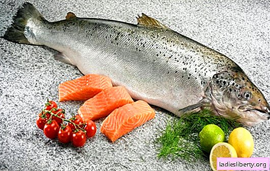 سمك السلمون الثمين - فوائد وتكوين ، وقيمة الأسماك الحمراء. يمكن أن يكون هناك ضرر من سمك السلمون على طاولة يوميا