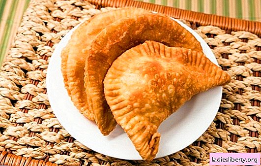 Yeast pasties - they are so soft! Recipes of simple and unusual yeast chebureks with different fillings