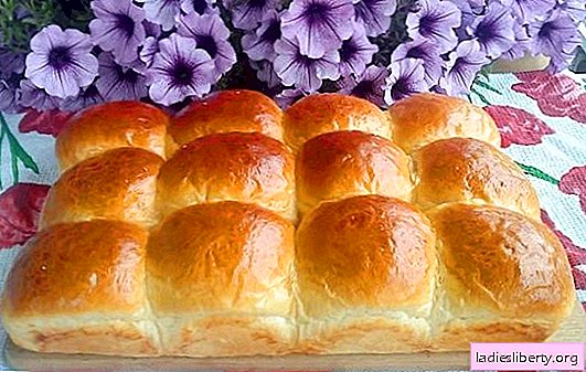 Yeast dough - air buns. Air buns with raisins, cherries, vanilla, cinnamon, boiled condensed milk or with garlic