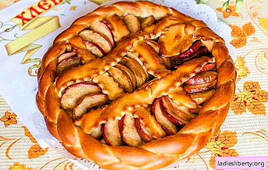 Pastel de levadura con manzanas en el horno - ¡aireado! Tartas de levadura cerradas y abiertas con manzanas en el horno