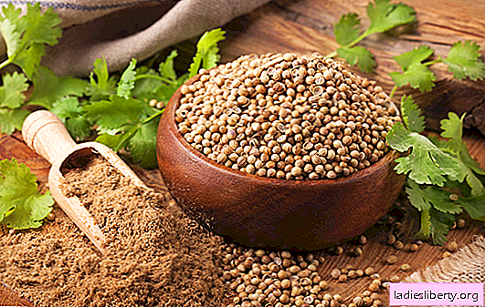 The dual benefits of coriander are greens and grains. The main properties and rules for the use of spices