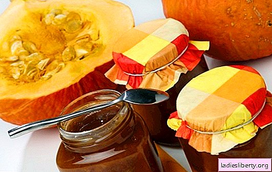 Pumpkin jam - a bright healthy treat in reserve! Recipes of pumpkin sun jam with citruses, apples, nuts