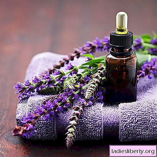 Lavender essential oil - its beneficial properties and methods of application. How to apply lavender essential oil in cosmetology.