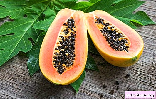 Papaye exotique - avantages pour le corps, détails de la composition et caractéristiques de la consommation. Ce fruit peut-il être enceinte que la papaye soit nocive pour le corps
