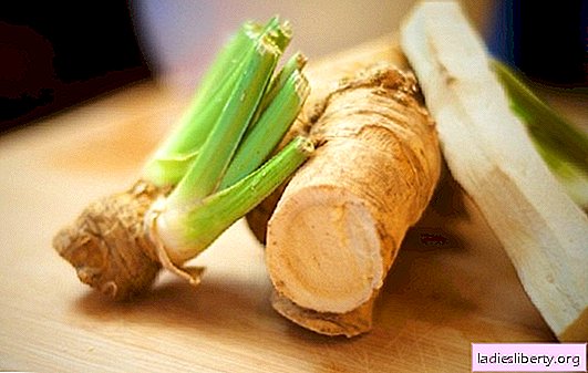 This hot horseradish: what is its benefit and harm? Unique properties of horseradish: calorie content, composition, methods of beneficial use