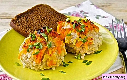 Erizos picados con arroz en una sartén: simple y original. Recetas de erizos de carne picada con arroz en una sartén en una cremosa carne, salsa de verduras