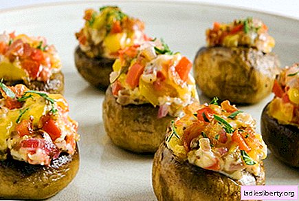 Stuffed mushrooms are the best recipes. How to cook delicious stuffed mushrooms correctly and tasty.