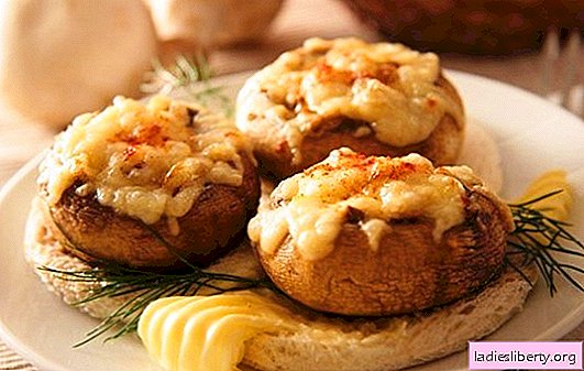 Cogumelos recheados no forno com queijo - cogumelos espetaculares! Receitas de cogumelos recheados no forno com queijo e não só