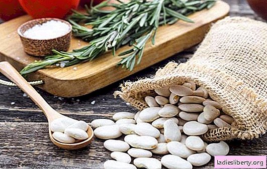 Bílé fazole - jaké jsou výhody jeho přítomnosti v týdenním menu? Co je škodlivé bílé fazole a jak ji vařit