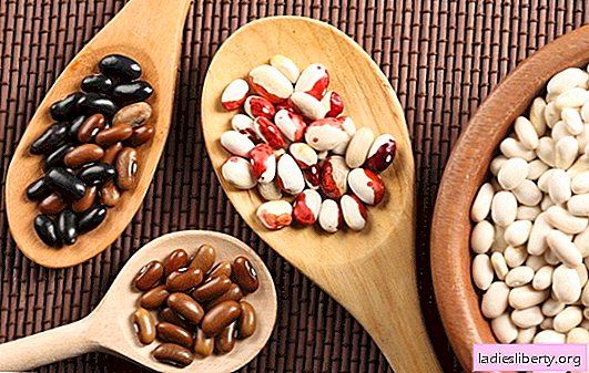 Kacang: manfaat dan kecederaan, kalori. Fakta saintifik dan butir-butir yang ingin tahu tentang manfaat, kemudaratan dan kalori kacang