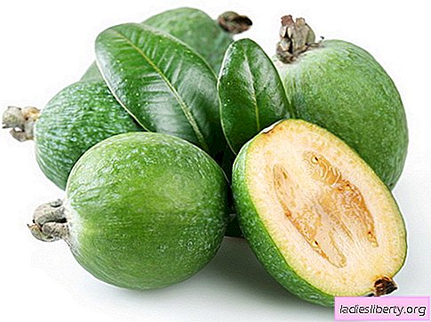 Feijoa - description, useful properties, use in cooking. Recipes with feijoa.