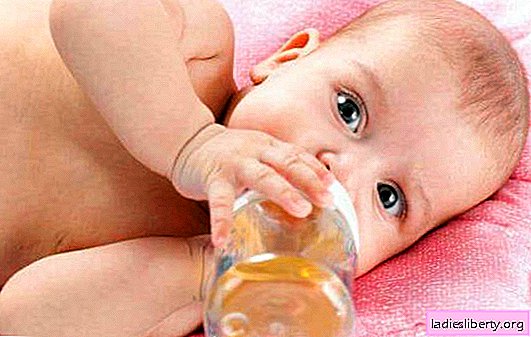 Hinojo para un recién nacido: ¿dañino o beneficioso? Preparamos té con hinojo para el recién nacido con mucho cuidado, contraindicaciones y efectos secundarios.