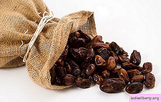 Dates: the benefits and harms, the calorie content of “African bread”. What is useful in dates, can they not cause harm to health?